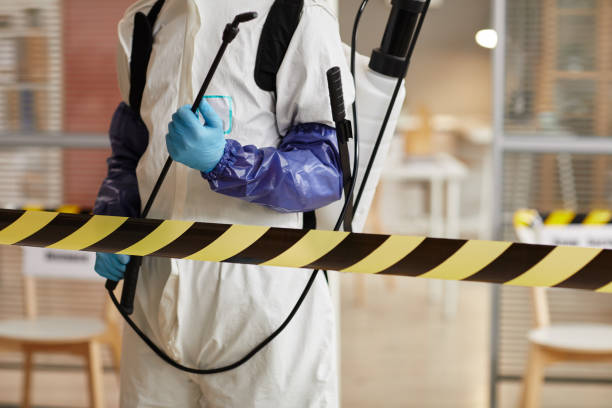 Professional Sewage Cleanup technician working in Belford, NJ